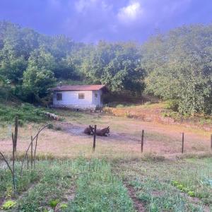 Quinta do Aleixo