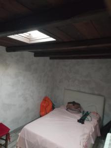 Pet-Friendly Vacation Home