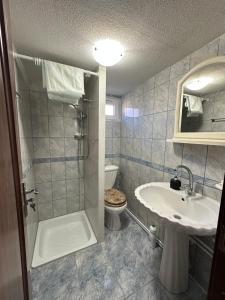 Sam Residence, Radauti city