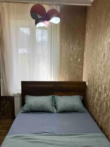 Kazbegi cozy house