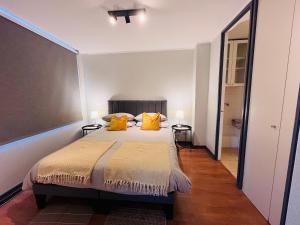 Exclusivo departamento en Santiago centro