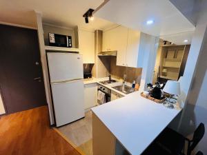 Exclusivo departamento en Santiago centro