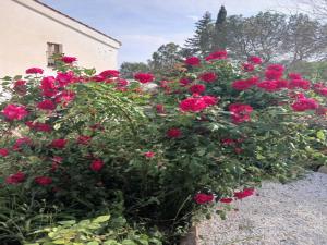 Luxurious Cottage in Sant Salvador de Guardiola