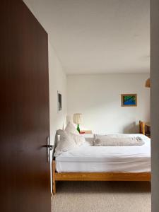 Ferienwohnung mit traumhaftem Bergpanorama