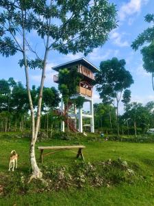 Sky Perch