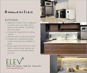 Elev Ph - Staycation Penthouse