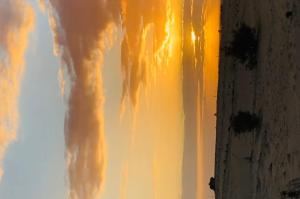 Desert Island Luxury Camp & Resort Jaisalmer