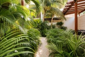 The Strabon Tulum