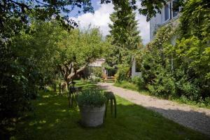 Achter het witte huis