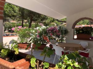 Casa Raiko