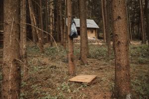 Glamping Olivia v lese