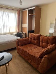 Fully furnished spacious studio apartment
