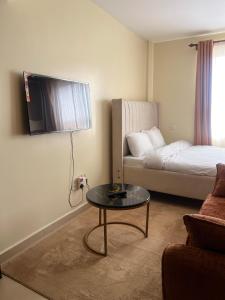 Fully furnished spacious studio apartment