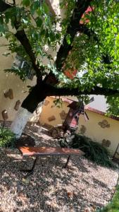 The Cozy Backyard Home- satu Mare