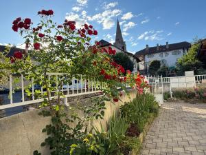 Appartement Vue sur les Alpes
