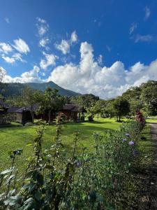 Aungha forest view บ้านทอฝัน