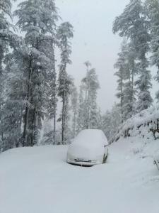 NORVIN Whispering Cedar Villa Kufri