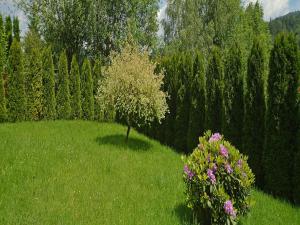 Apartament Margarita 