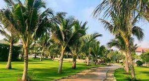 Bao Ninh Beach Resort