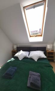Apartamenty Serce Olsztyna Wyzwolenia z balkonem widok na Zamek