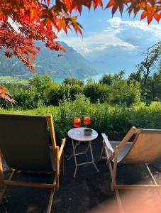 Unique Panorama Chalet - Lake Brienz and Alps