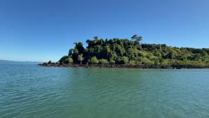 Mangrove Creek