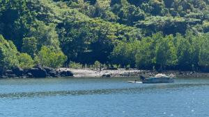 Mangrove Creek