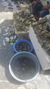 Larache Inn