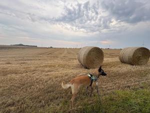 Agro Kaflarnia