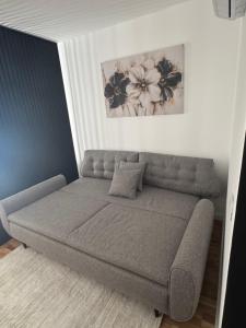 VD Lux Studio and SPA Kolasin