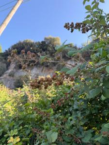 Le Stanze di Pescorocchiano