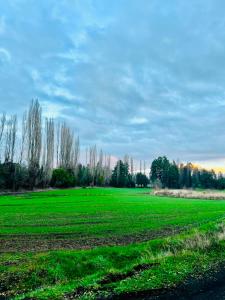 Cabaña entre rios