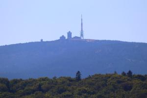 Burgnest