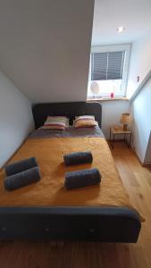 Apartament u Beaty