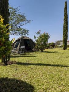 Dwell Guest House