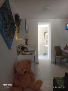 Apartma AURORA