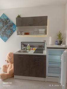 Apartma AURORA