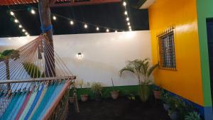 Cocos Hostel