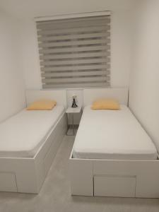 Lillys apartment
