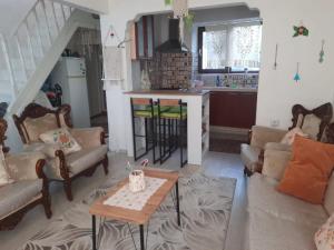 ANNEMOTIA - 2 storey House with Garden in Ayvalık Greek Neighborhood