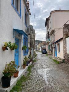ANNEMOTIA - 2 storey House with Garden in Ayvalık Greek Neighborhood