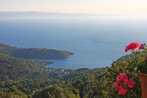 Pirgos Cottage Skopelos Greece