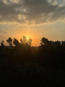 Kiasili Homes - A tranquil experience in the city