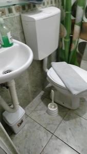 Vila Olga apartman
