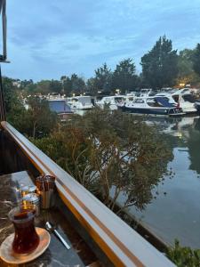 An Istanbul tale Istanbul dream bosphorus villa