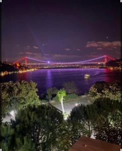 An Istanbul tale Istanbul dream bosphorus villa