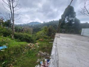 JJ Home With 200Meters Trekking