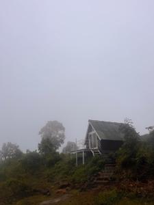 The Highland Nest
