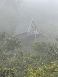 The Highland Nest