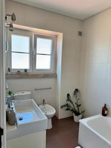 Alameda Apartment